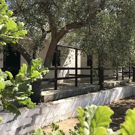 Porto Miggiano סנטה צזריה טרמה